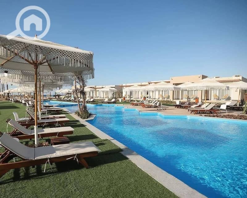 7 WhatsApp Image 2025-09-08 at 14.22. 43_d03dcbd0. jpg