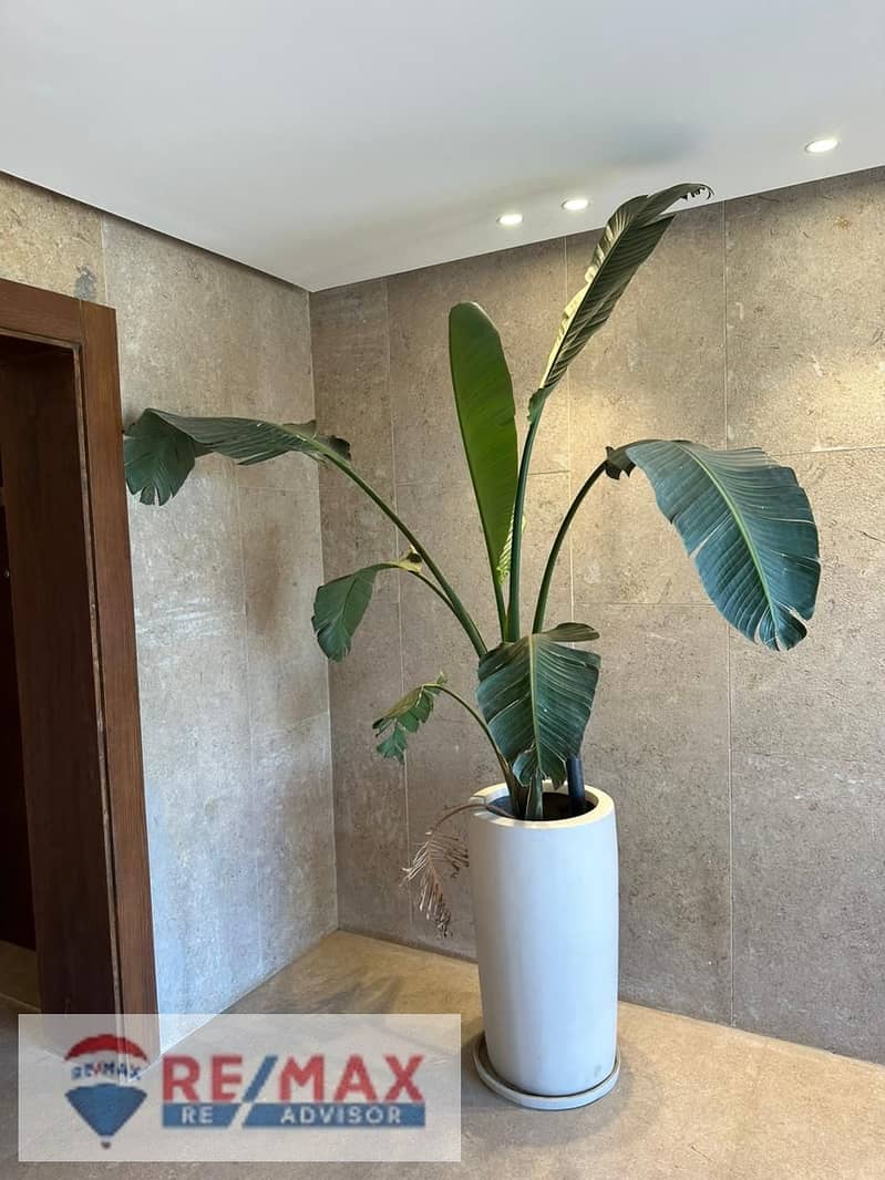 2 WhatsApp Image 2025-02-11 at 11.10. 22 PM (1). jpeg