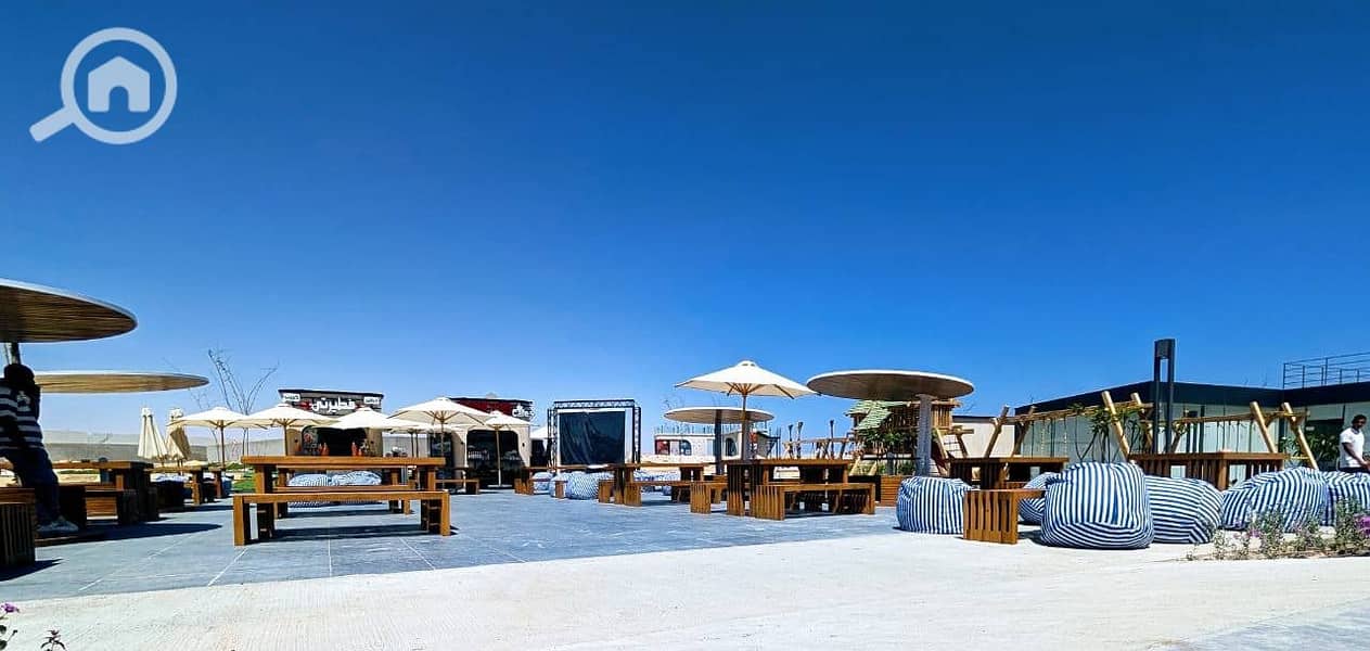 3 WhatsApp Image 2025-09-08 at 12.09. 43_84fae744 - Copy (2) - Copy. jpg