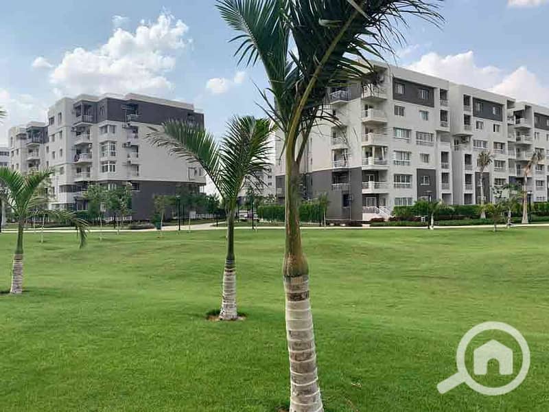 4 alessamy_1212_31278. jpg