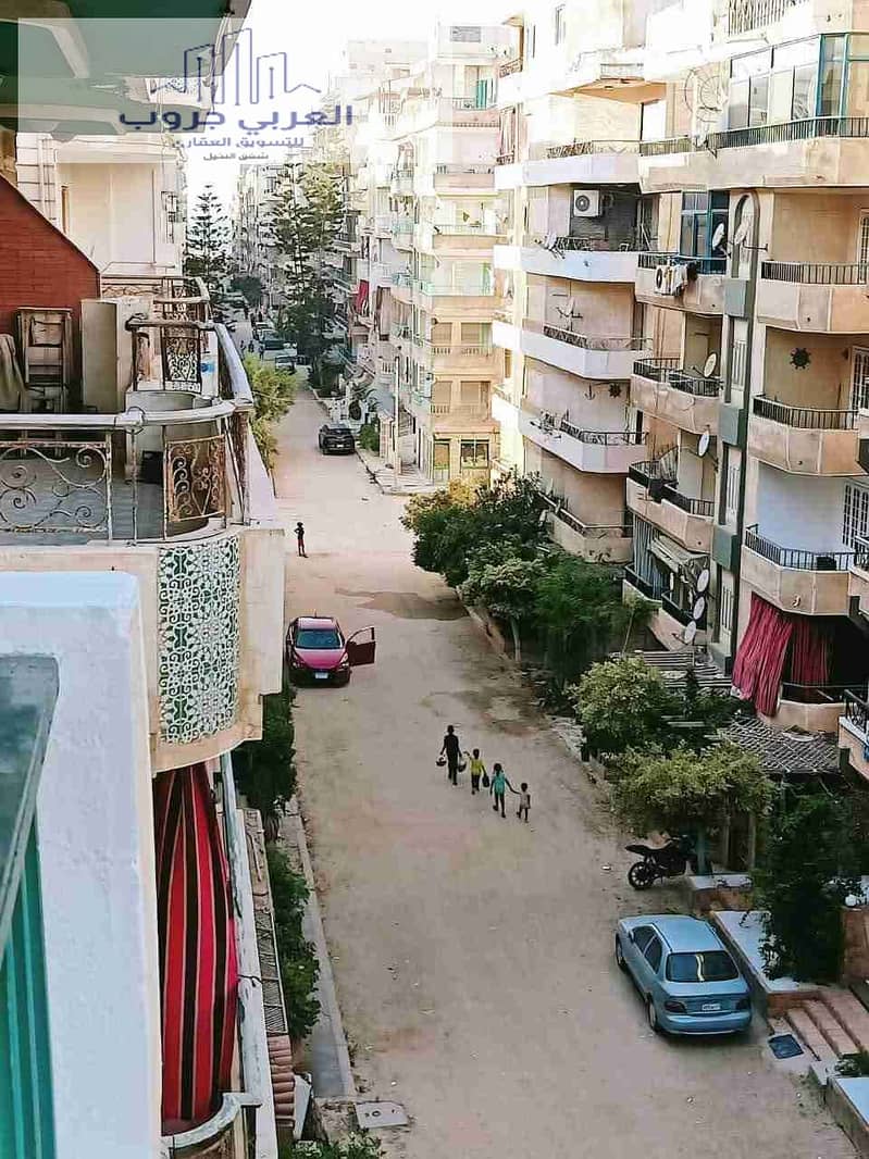 4 1000311647. jpg