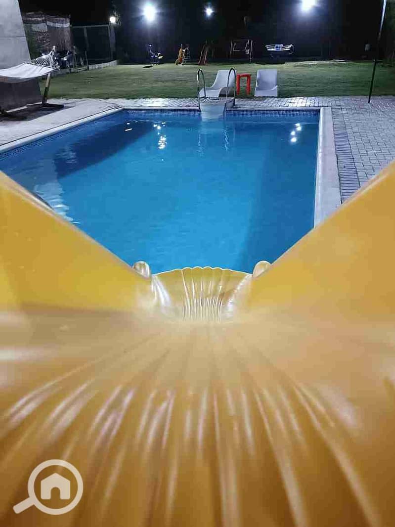 5 1000066145. jpg