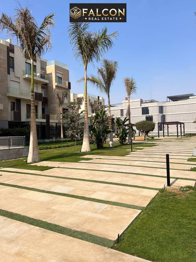 11 561386772_4309020612705489_5060983643120555601_n. jpg