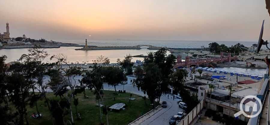 19 WhatsApp Image 2025-04-26 at 16.32. 37 (5). jpeg