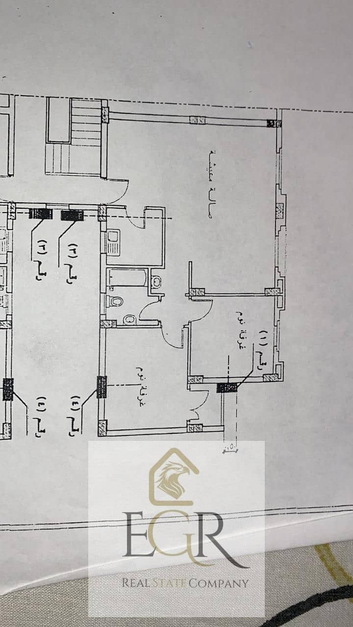 13 WhatsApp Image 2025-09-08 at 15.17. 19_fe3c13e9. jpg