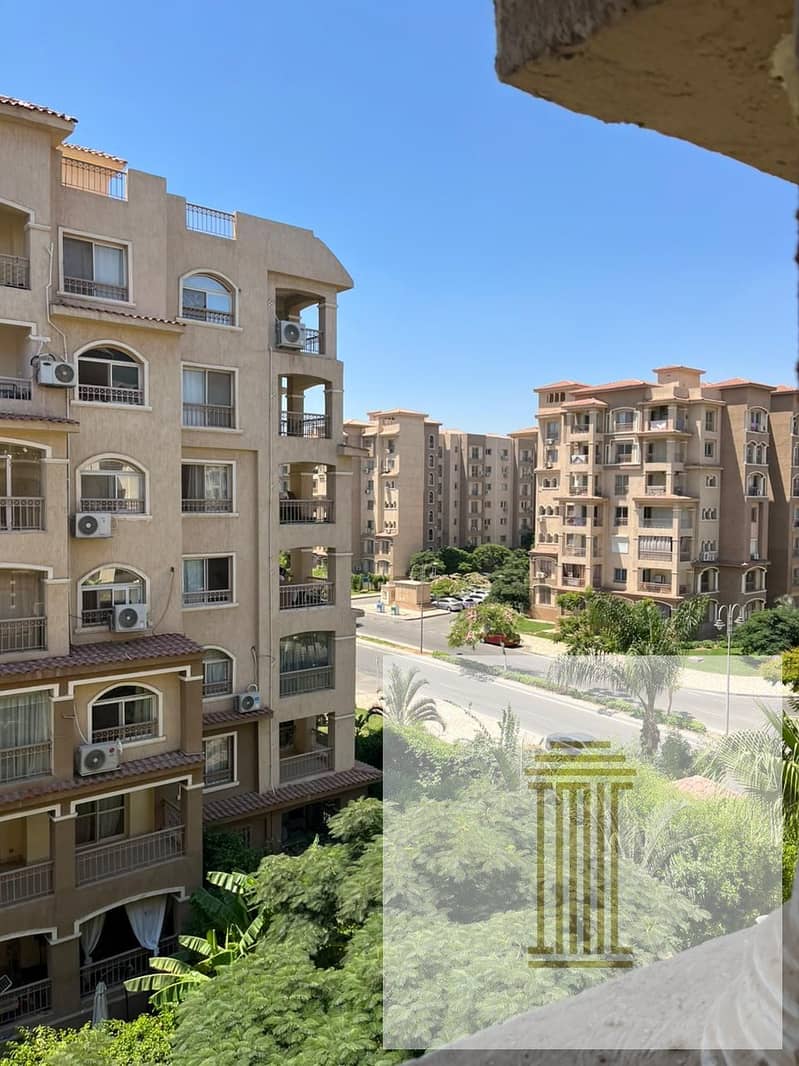 5 bc999e55-e0f1-402e-a8d5-fd633a2a5524. jpg