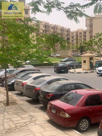 2 Bedroom Apartment for Rent in Madinaty, Cairo - WhatsApp Image 2025-10-20 at 2.21. 31 PM (1) - Copy. jpeg