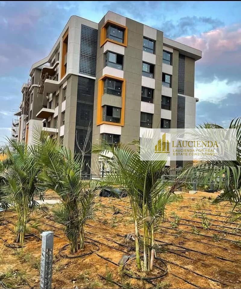 4 WhatsApp Image 2025-10-21 at 5.37. 30 AM. jpeg