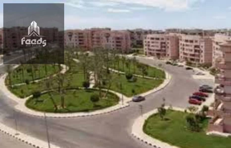 9 download - 2025-10-21T160318.157. jpg