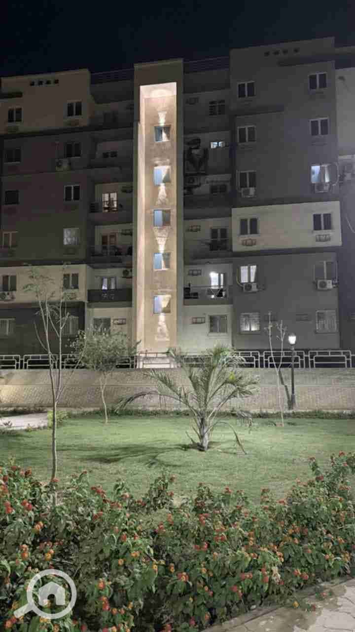 3 61597. jpg