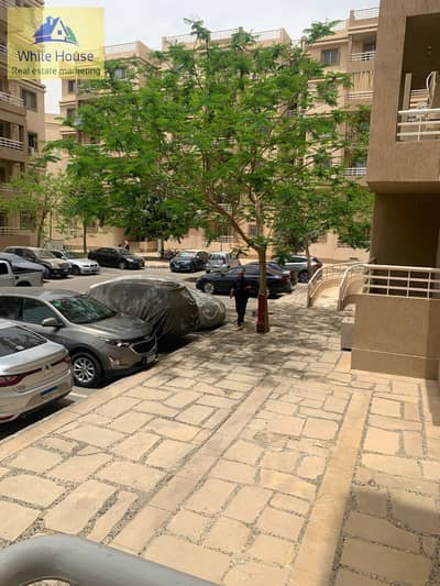 شقة 2 غرفة نوم للايجار في مدينتي، القاهرة - WhatsApp Image 2025-10-20 at 2.21. 31 PM (2). jpeg