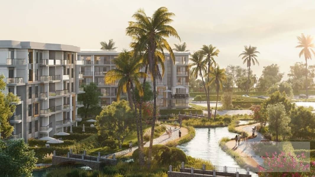 6 31a70124-f9f0-48e3-9502-3a4e7688965a. jpeg