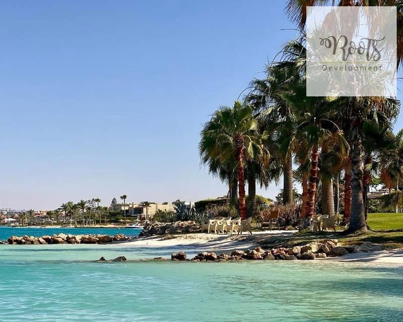 3 c2e93de4-e0ba-4d02-a601-009a22cac5f4_1280x1026. jpg