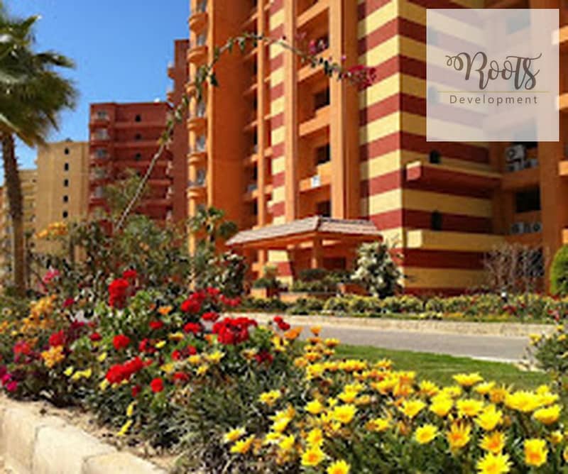 7 unnamed (3)_1280x1069. jpg