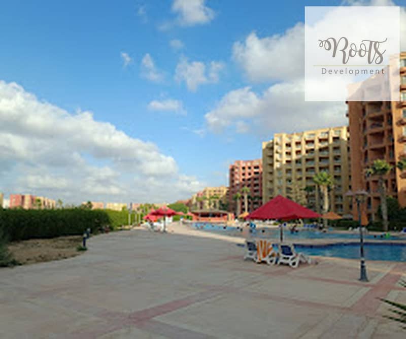 12 unnamed_1280x1069. jpg