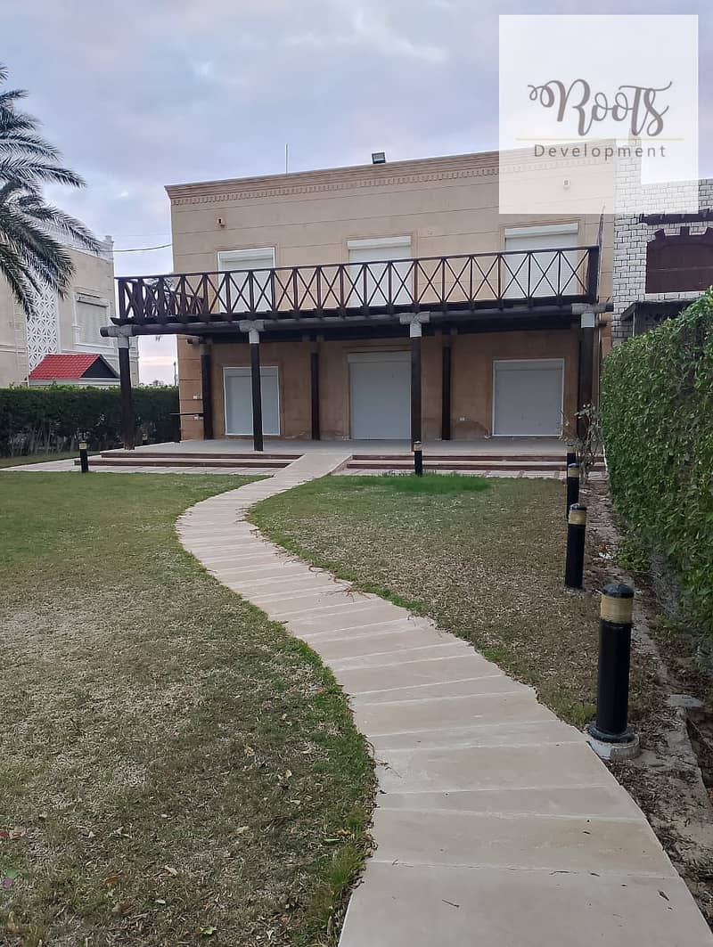 4 WhatsApp Image 2025-10-17 at 20.14. 07. jpeg