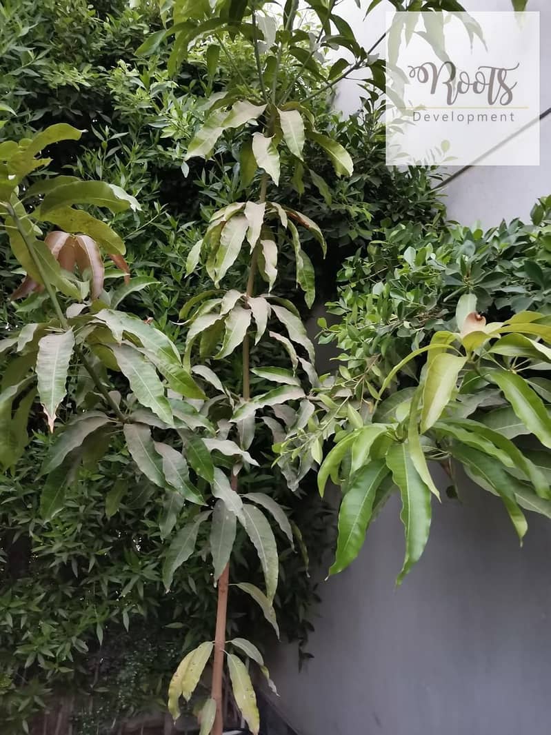 7 WhatsApp Image 2025-09-21 at 10.42. 40 PM (1). jpeg