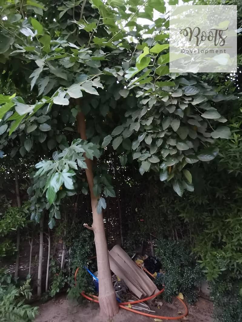 9 WhatsApp Image 2025-09-21 at 10.42. 40 PM. jpeg