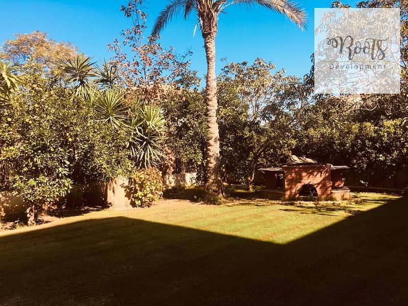 11 WhatsApp Image 2025-10-07 at 7.35. 06 AM (1). jpeg