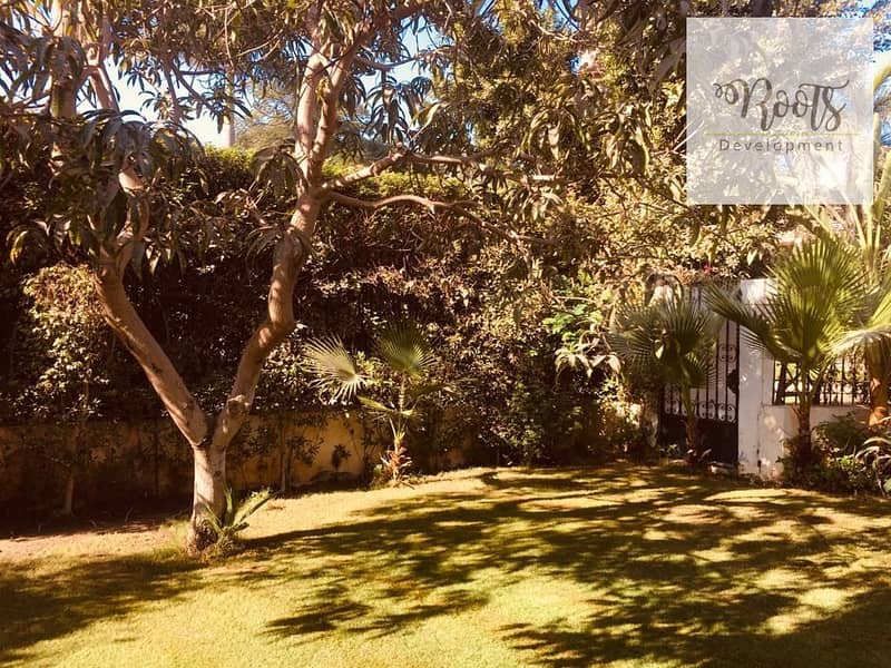 12 WhatsApp Image 2025-10-07 at 7.35. 06 AM (2). jpeg