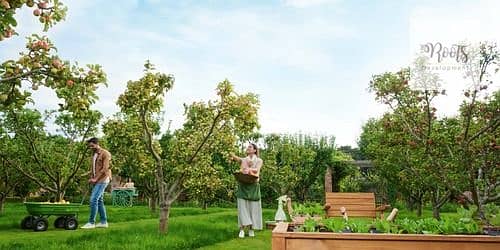 2 Apartmentmedium_Fields_Park_fields_parkFields_Park_1__Page_01_Image_0001. jpg