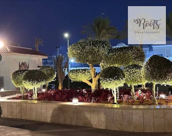 4 WhatsApp Image 2025-10-02 at 5.02. 01 PM (1). jpeg