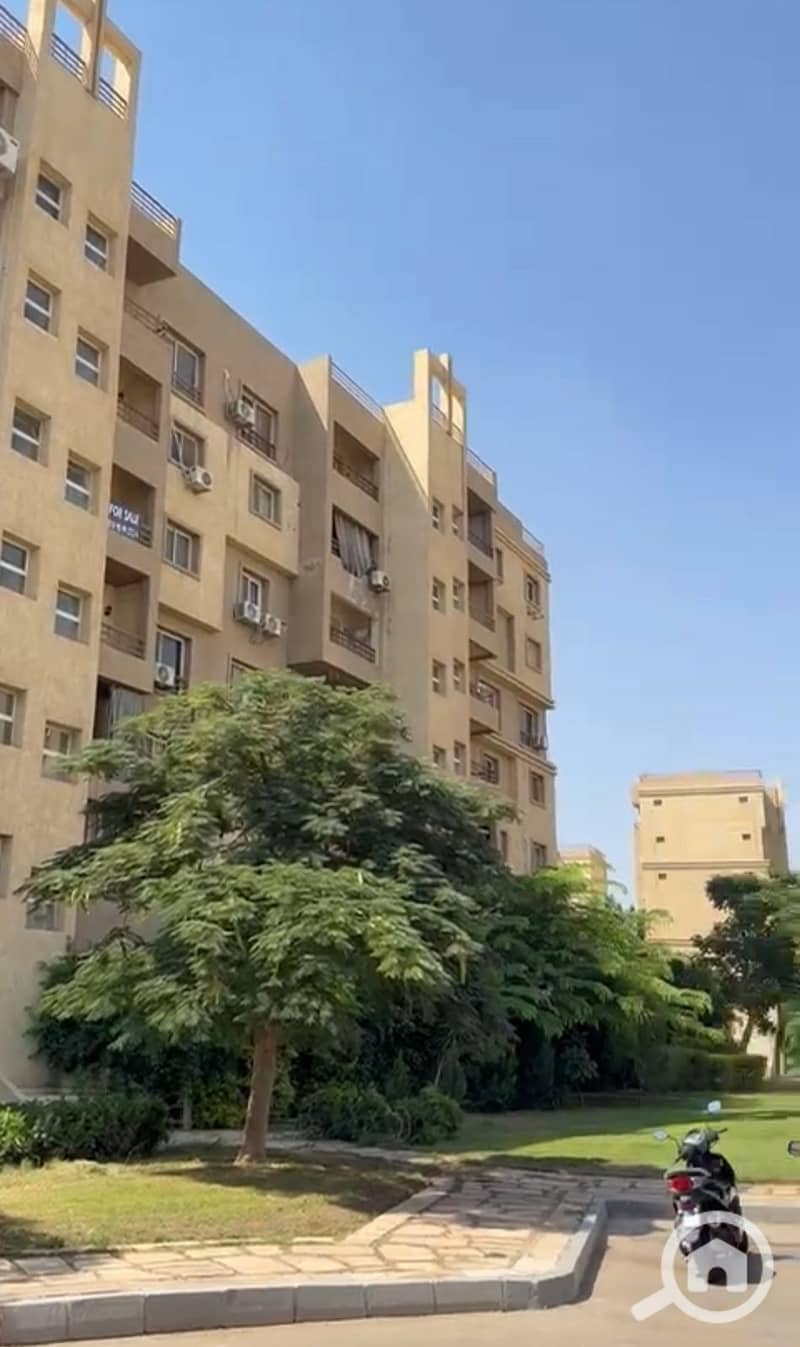 9 whatsapp image 2025-09-02 at 5.36. 54 pm. jpeg