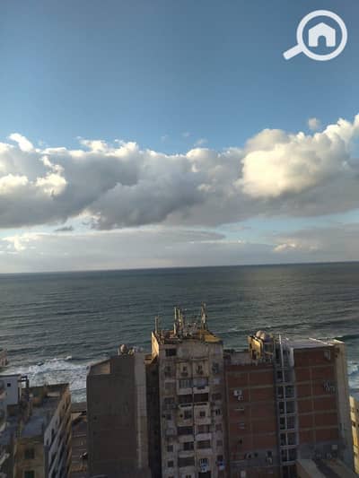 فلیٹ 3 غرف نوم للايجار في سبورتنج، الإسكندرية - IMG-20251021-WA0042. jpg فلیٹ 3 غرف نوم للايجار في سبورتنج، الإسكندرية - IMG-20251021-WA0042. jpg