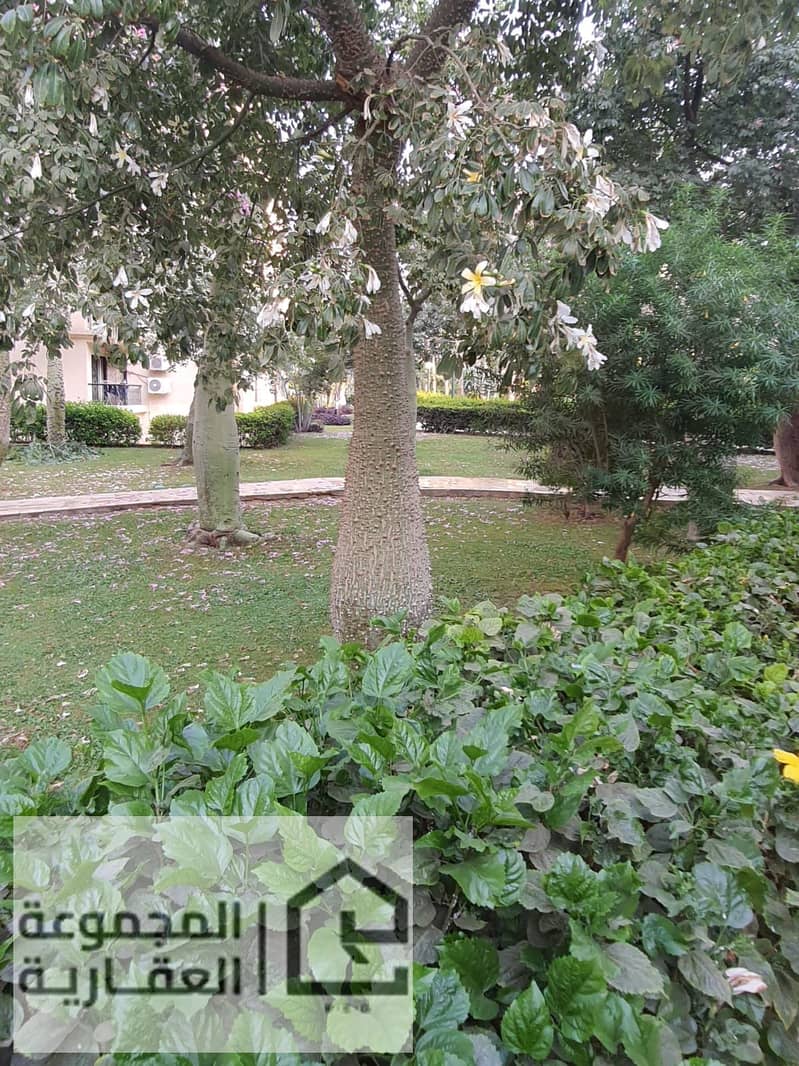 3 55b8aa75-33ce-407b-8cc5-1d9e19b91393. jpg