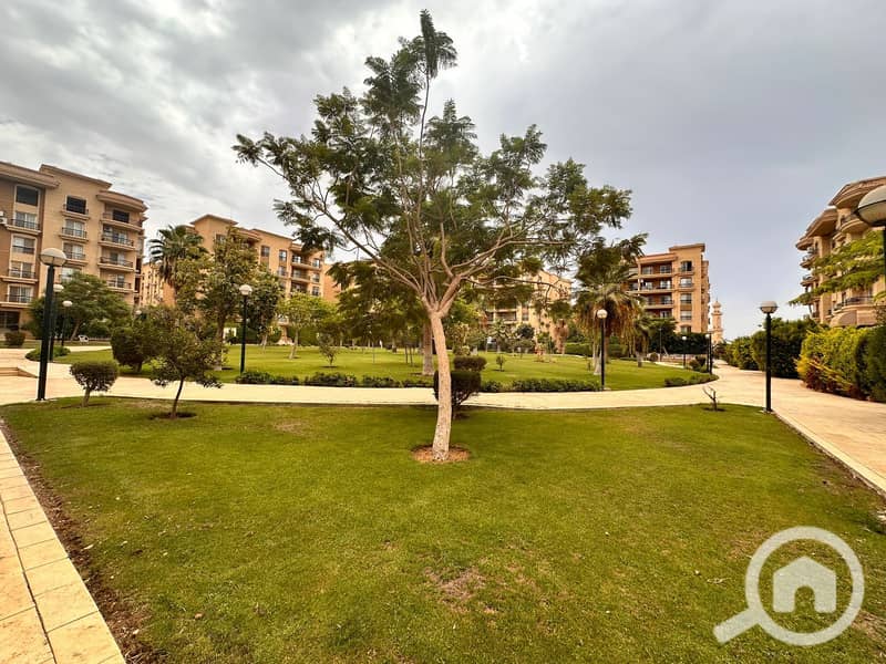 15 dc557d97-305f-425e-9b20-495ebab78cb7. jpg