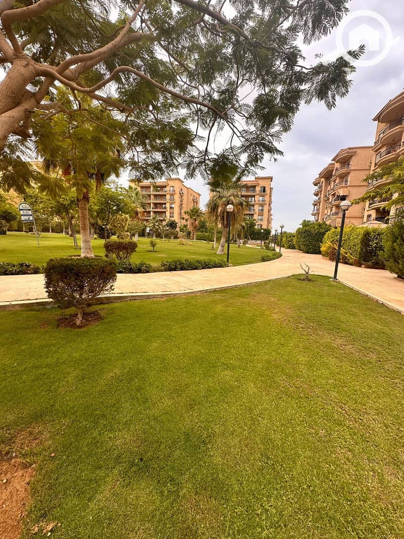 16 241f9e7c-d306-42f3-9afa-13a961757f4f. jpg