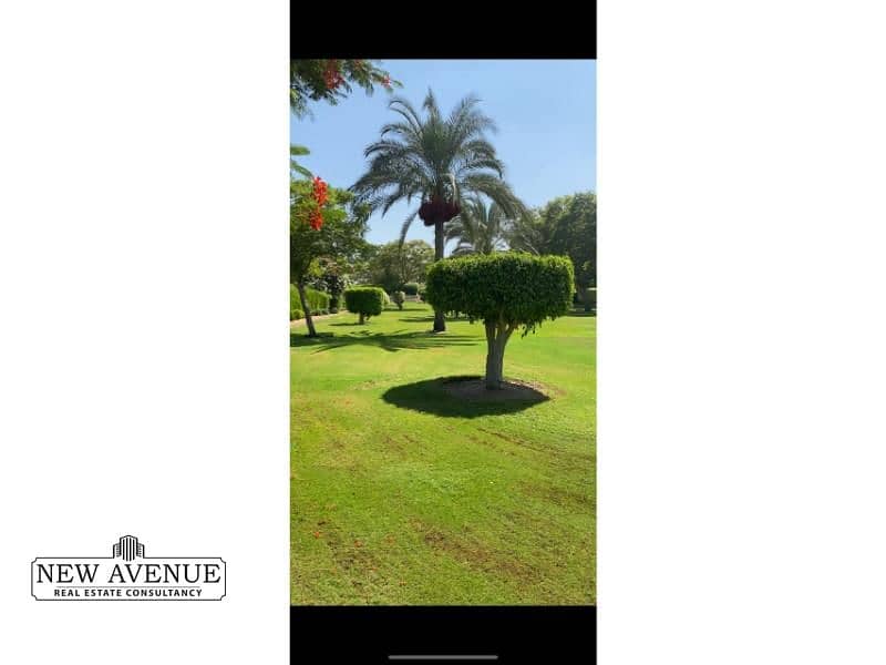 13 WhatsApp Image 2025-10-19 at 10.36. 27 PM (2). jpg