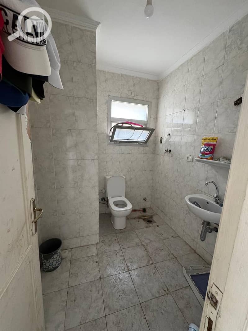 10 29055789-7d7f-4d84-b536-9b9527b26c1e. jpeg