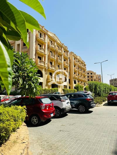 دوبلكس 4 غرف نوم للبيع في القاهرة الجديدة، القاهرة - WhatsApp Image 2025-10-19 at 11.07. 18 AM. jpeg