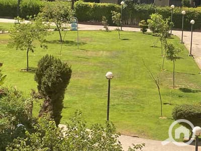 3 Bedroom Apartment for Sale in New Cairo, Cairo - 1000468184. jpg