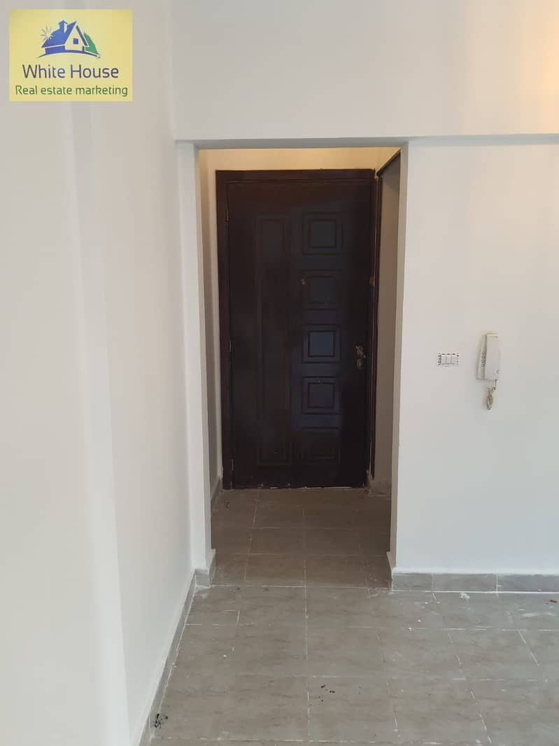 3 WhatsApp Image 2025-10-16 at 11.12. 30 AM. jpeg