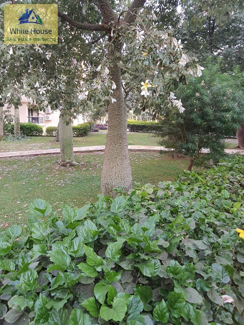 4 WhatsApp Image 2025-10-16 at 11.12. 35 AM (1). jpeg