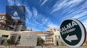 7 download - 2025-10-21T184537.076. jpg