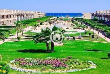 3 Bedroom Villa for Sale in Ain Sukhna, Suez - WhatsApp Image 2025-04-27 at 14.37. 03. jpeg