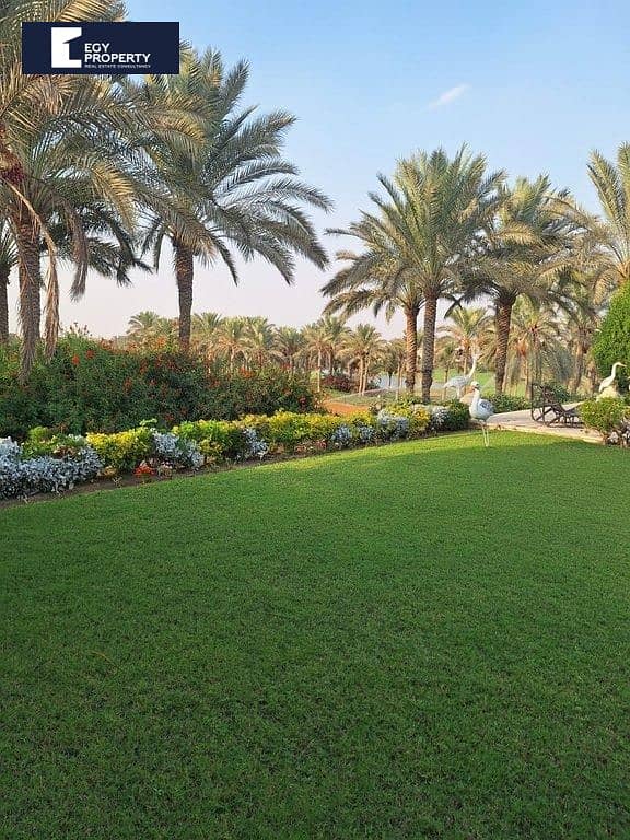 9 _files_IMG_4471c9757c. jpeg