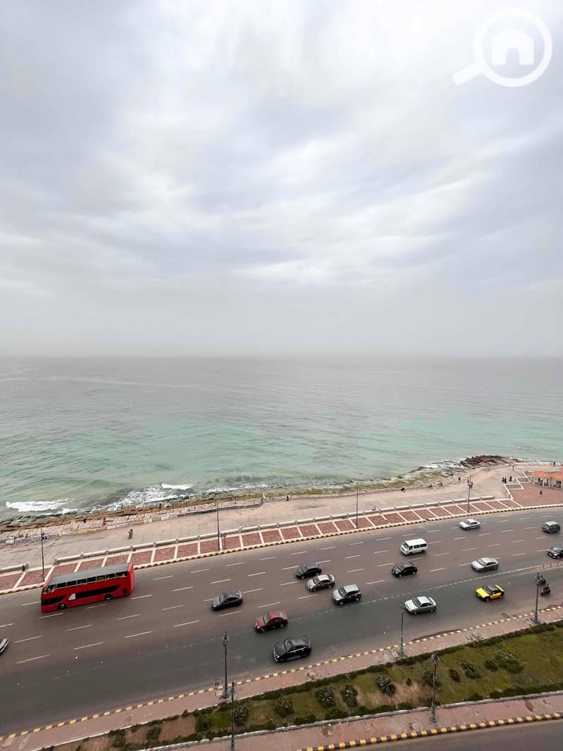 IMG_5456. jpg IMG_5456. jpg