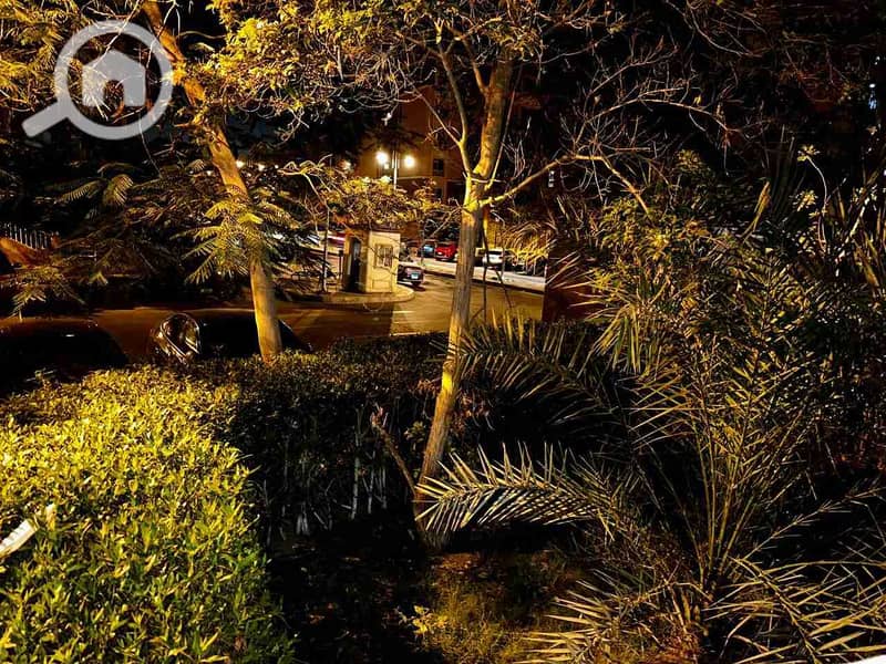 1000090303. jpg 1000090303. jpg