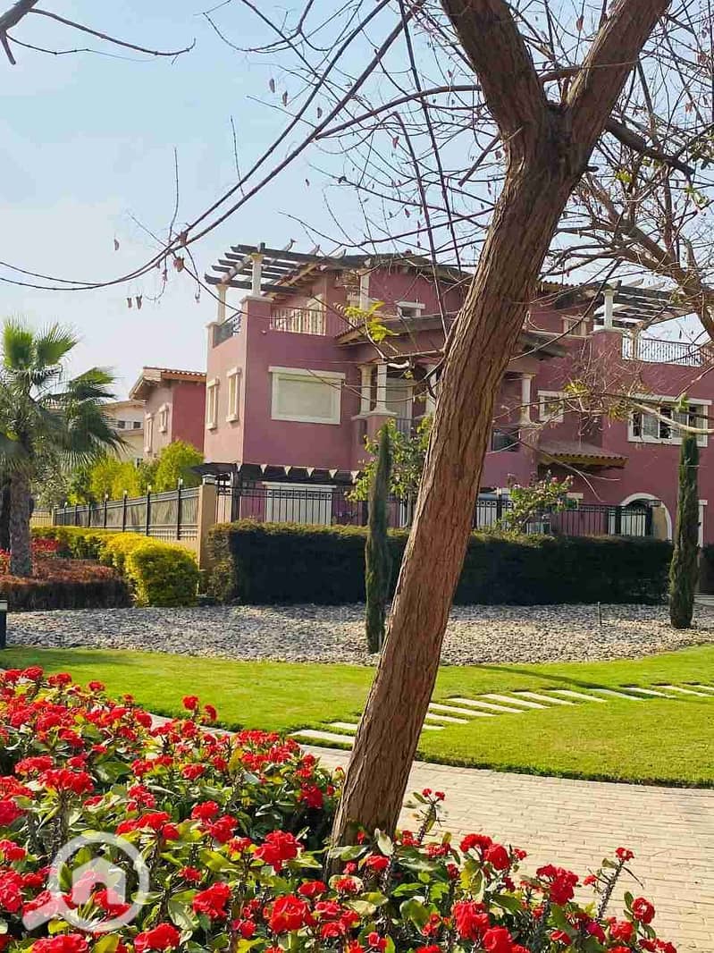 5 IMG_20230326_190048_296. jpg