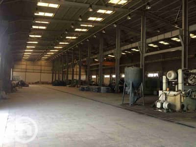 مصنع  للايجار في برج العرب، الإسكندرية - 1000463435. jpg