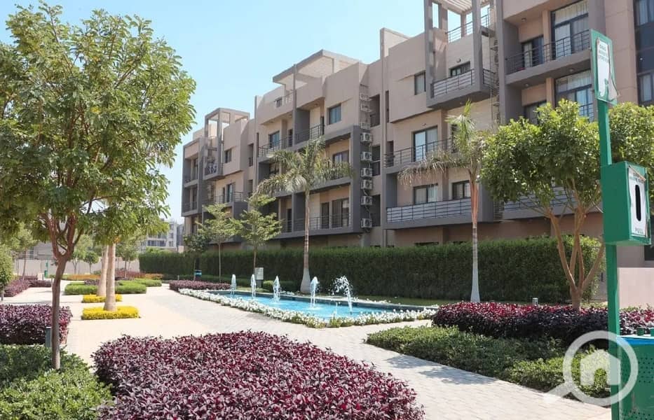 4 436316569_7312155918913638_1442635652505019673_n. jpg