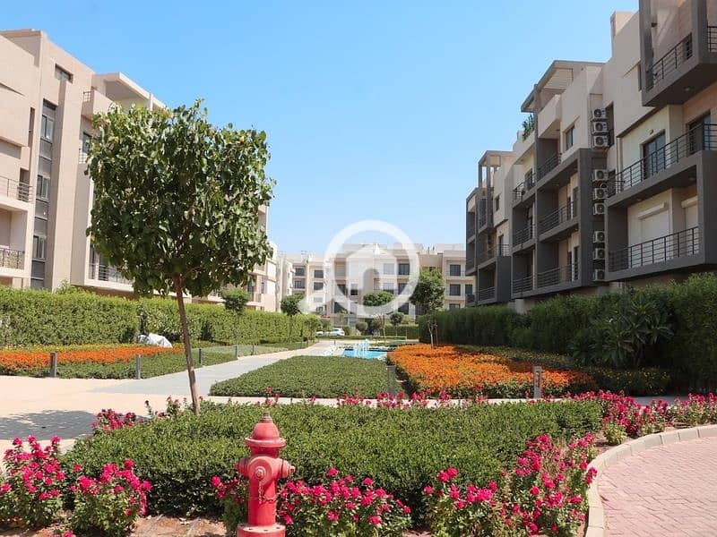 5 2023-10-21 (4). jpg