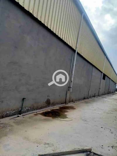 مصنع  للايجار في برج العرب، الإسكندرية - 1000510471. jpg