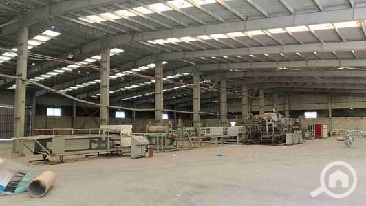 Factory for Sale in Borg al-Arab, Alexandria - 1000510289. jpg