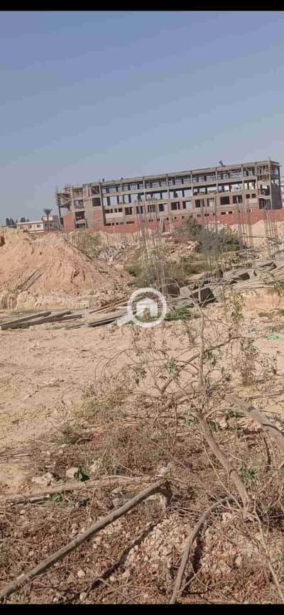 صناعي  للبيع في برج العرب، الإسكندرية - 1000510487. jpg