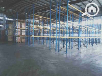 مستودع  للايجار في العامرية، الإسكندرية - 1000506988. jpg
